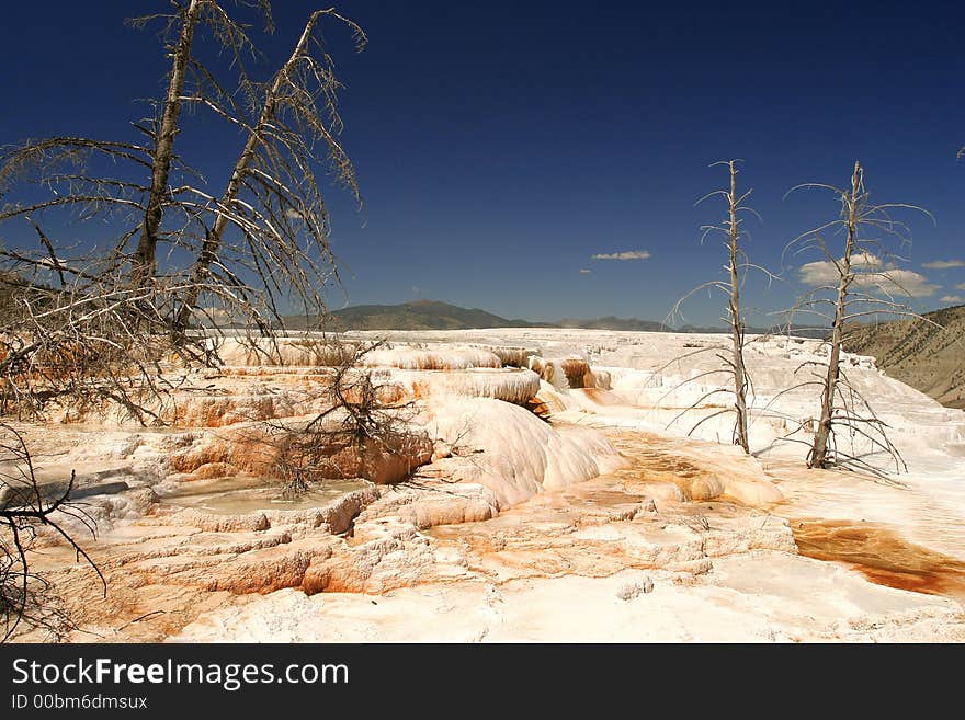 Mammoth Hot Springs