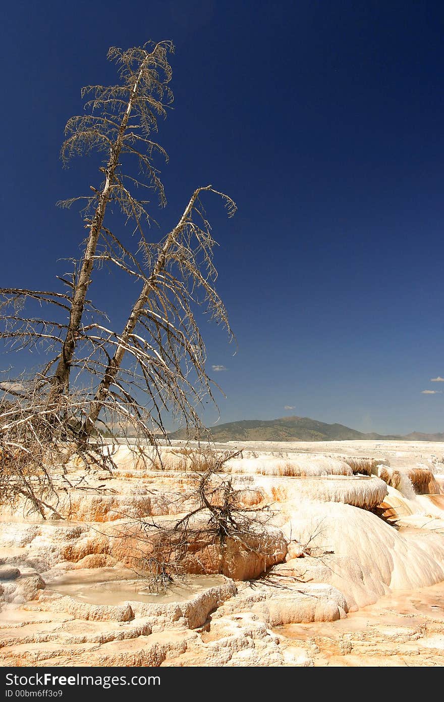 Mammoth hot springs