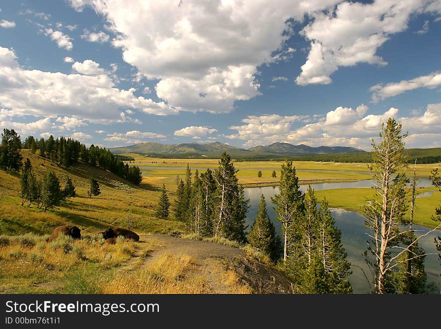 Beautiful landscape, Yellowstone National Park, United States