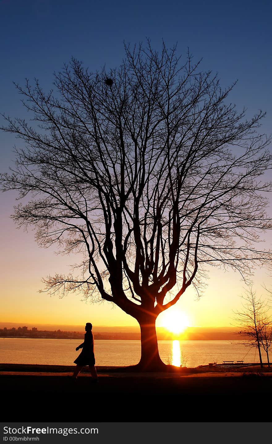 A man walking at sunset. A man walking at sunset