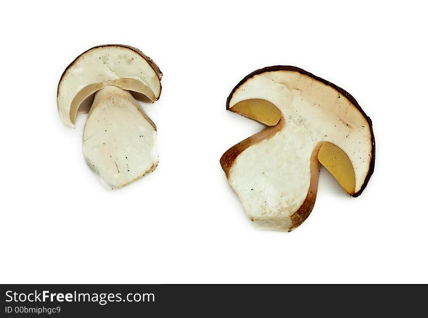 Close up of two mushroom slices on white background. Close up of two mushroom slices on white background