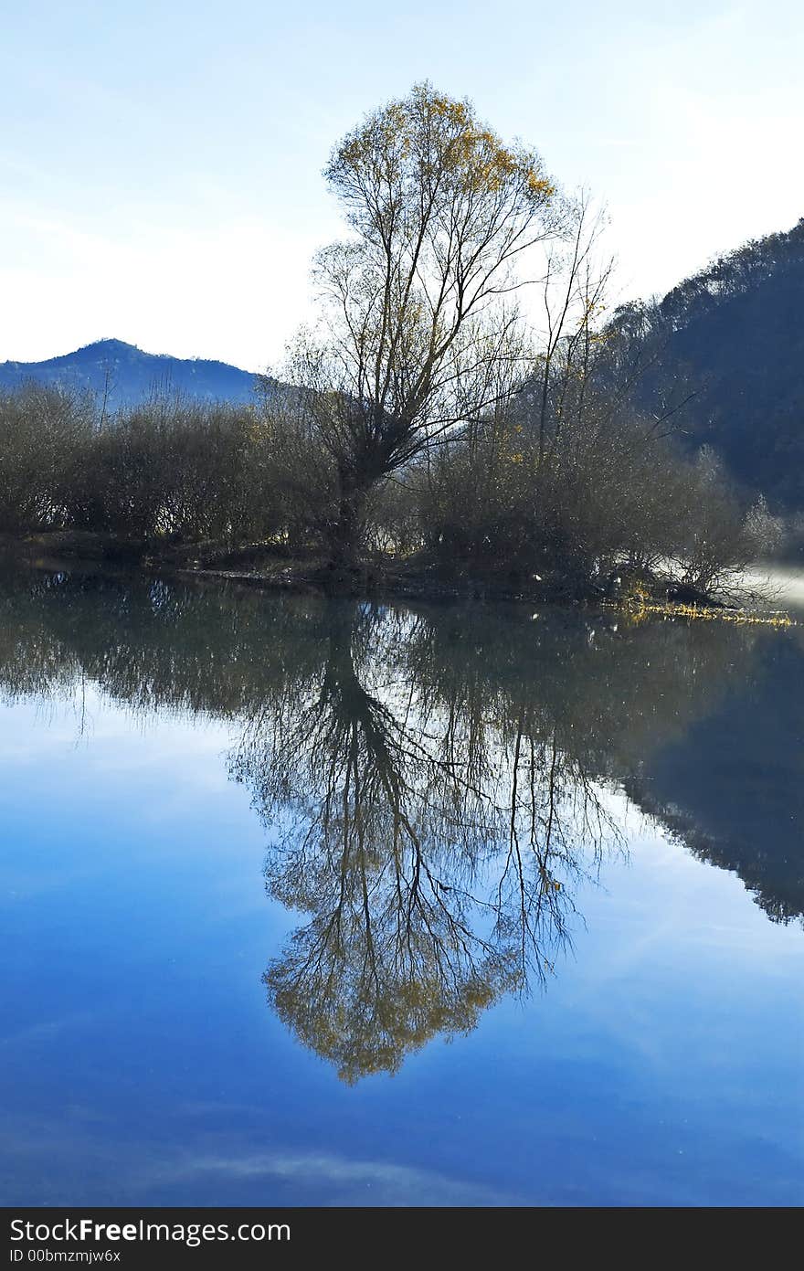 Tree on small lake island. Clear sunny morning. Tree on small lake island. Clear sunny morning.