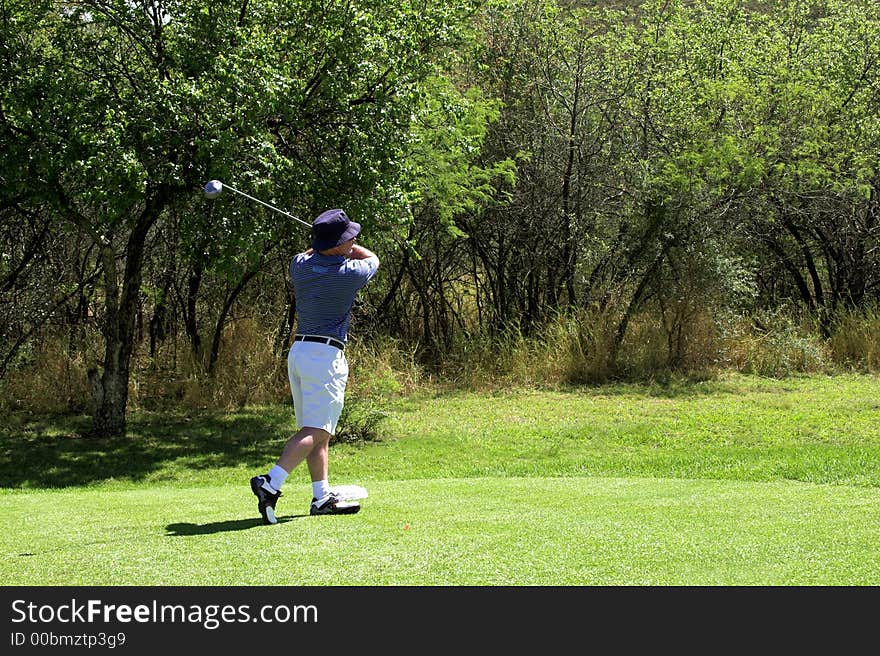 Golfer in striped shirt playing from the tee box. Golfer in striped shirt playing from the tee box.