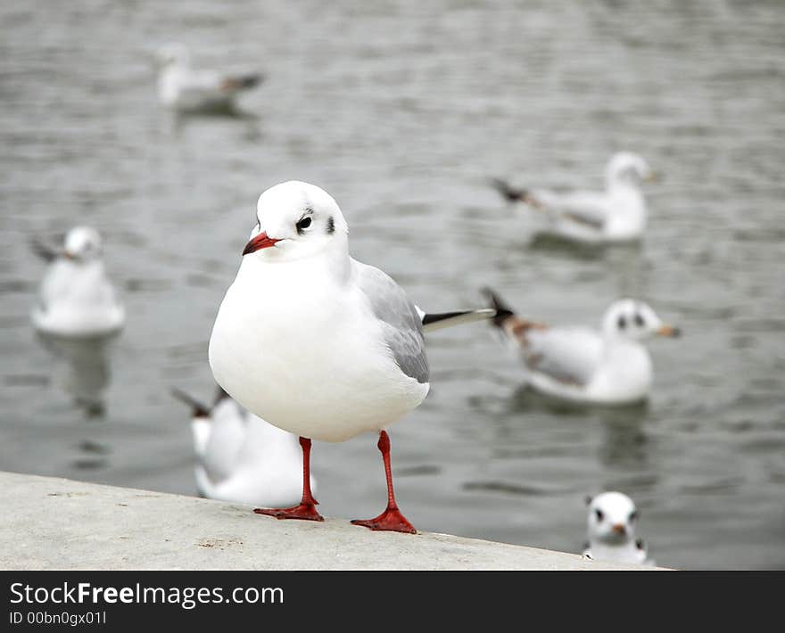 The photo was taken in luxemburg park in paris. The photo was taken in luxemburg park in paris