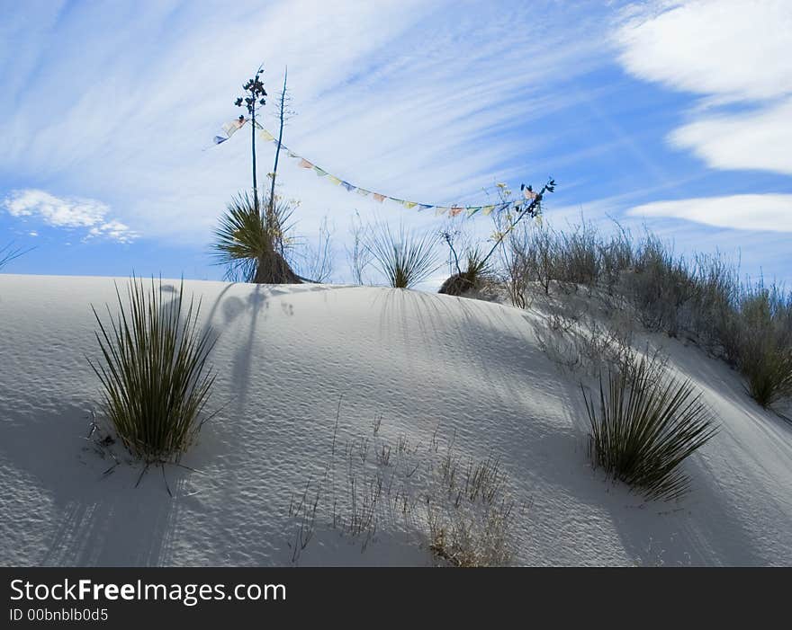 Silhouette of a string of tattered Tibetan Prayer Flags strung up on some Yucca in the white sand dunes of New Mexico, USA. Silhouette of a string of tattered Tibetan Prayer Flags strung up on some Yucca in the white sand dunes of New Mexico, USA.