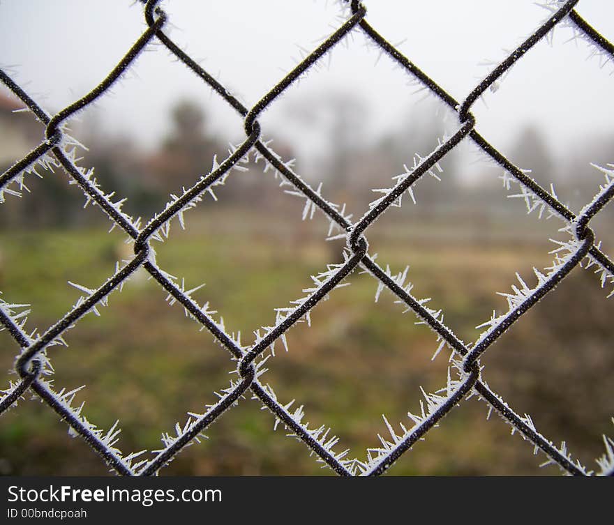 Hawthorn (caused by freezing fog) on a wire fence. Sharp focus on hawthorn with blurred fields and trees in background.