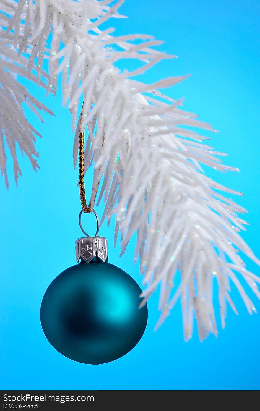 Christmas Ornament hanging on a tree branch.