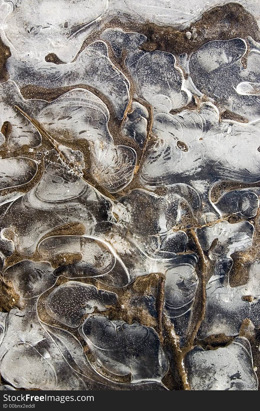 Close up of a frozen puddle with air bubbles. Close up of a frozen puddle with air bubbles