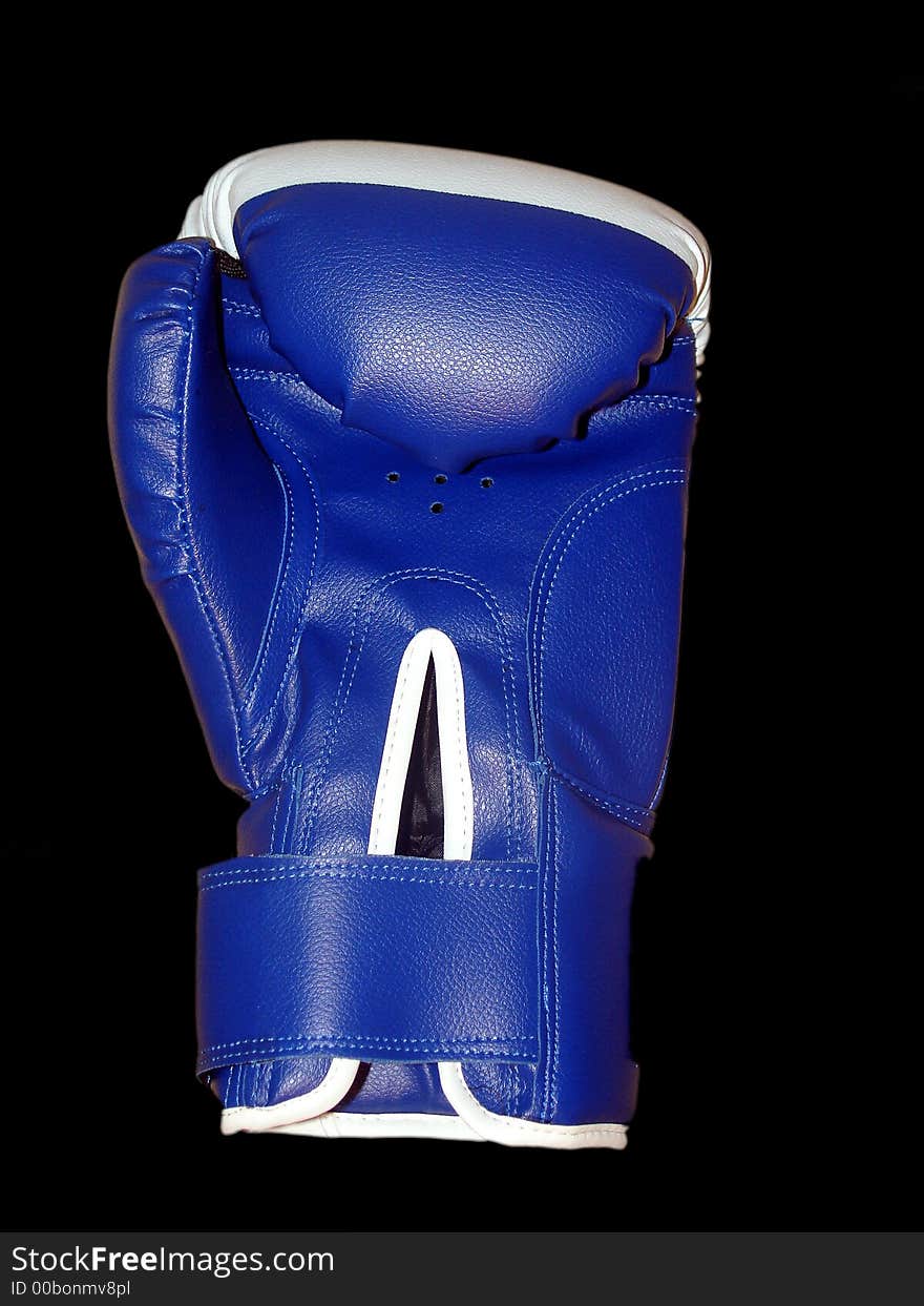 The boxing glove (blue and white). The boxing glove (blue and white)