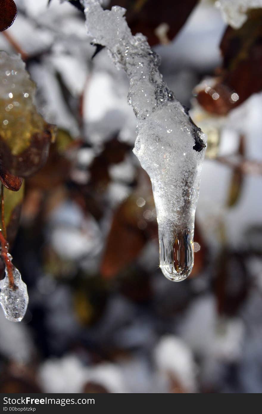 A frozen water droplett from a tree in the desert.