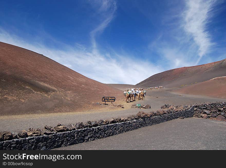 Camel Trek