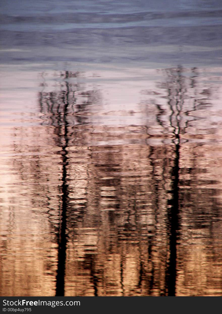 Reflection of trees