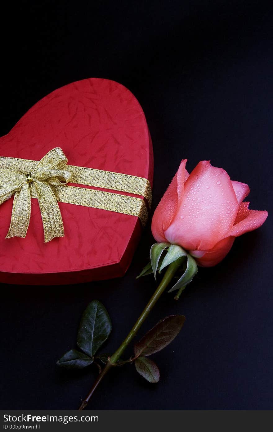 Pink rose with red love shape gift box. Pink rose with red love shape gift box.