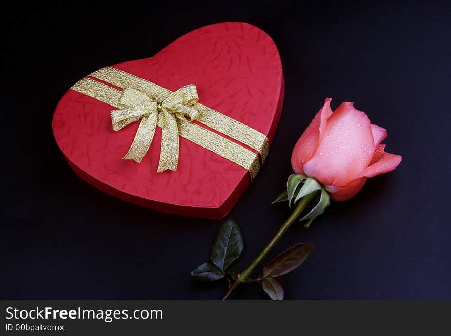 Pink Rose With Gift Box