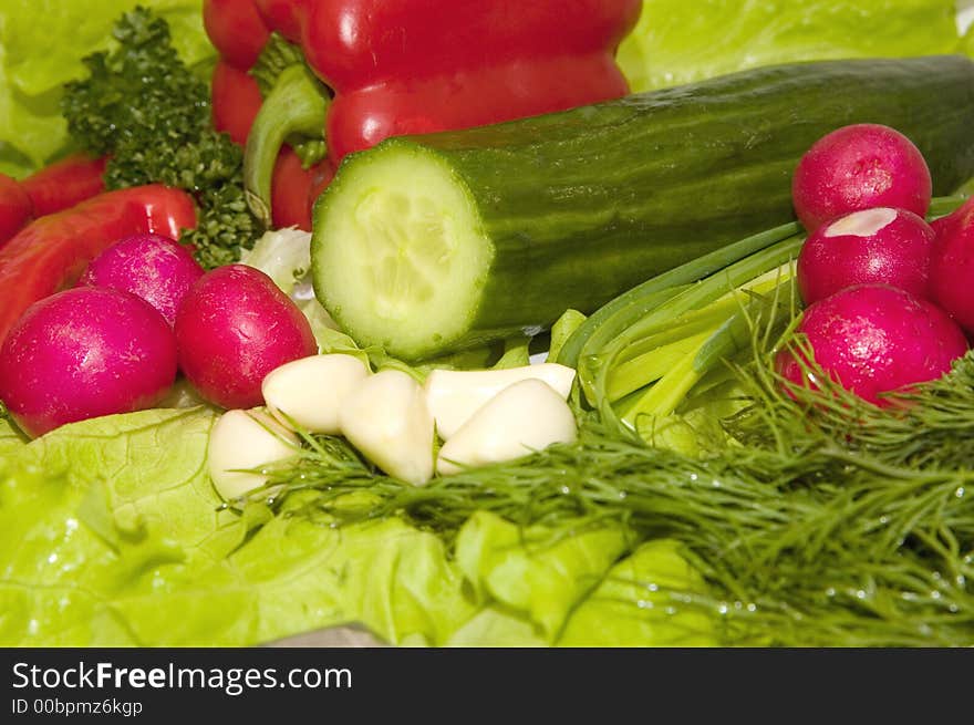 Set of fresh spring vegetables: onions, lettuce, garlic, till, parsley