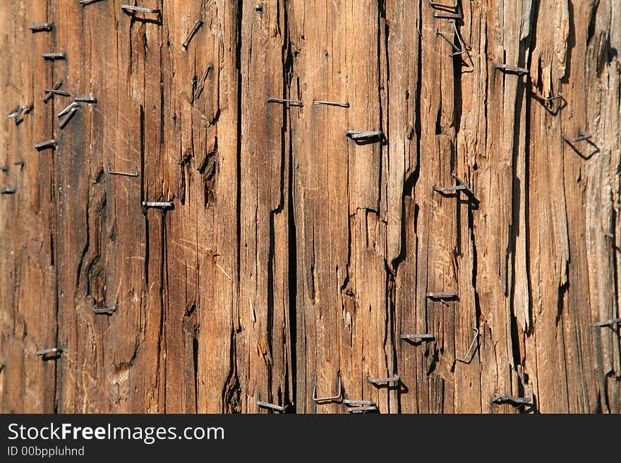 Wood texture old telegraph column.