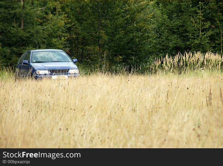 Car on meadow