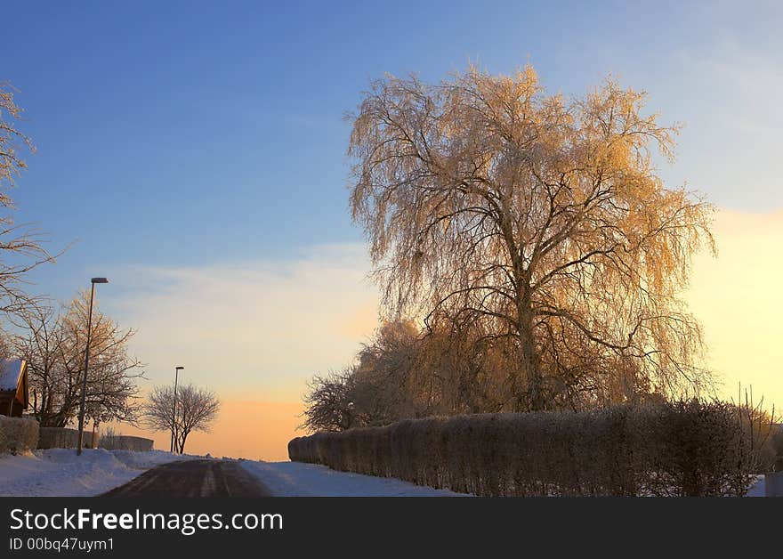 Photo of warm sunset on a cold winterday. Photo of warm sunset on a cold winterday