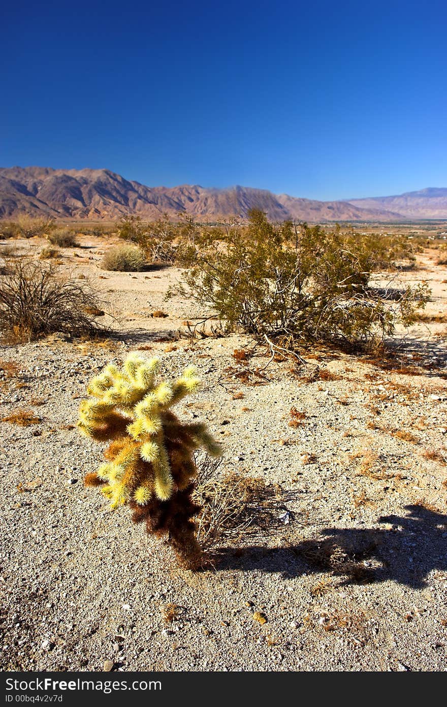 Panorama view of North American desert (very sharp)