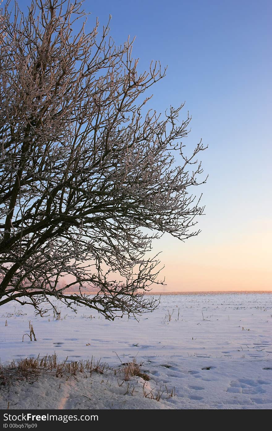 Photo of warm sunset on a cold winterday