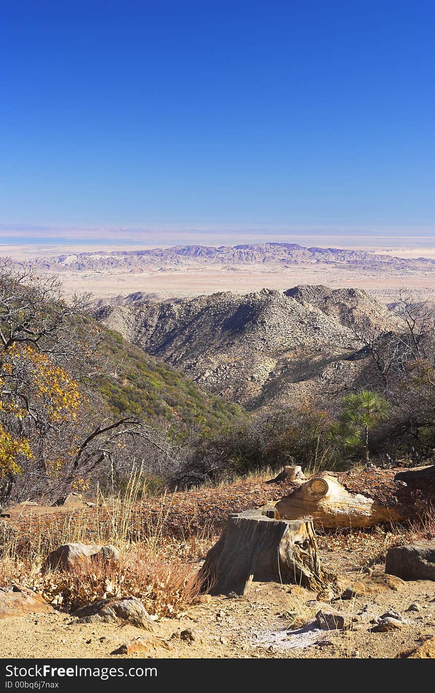 North American Mountain Desert