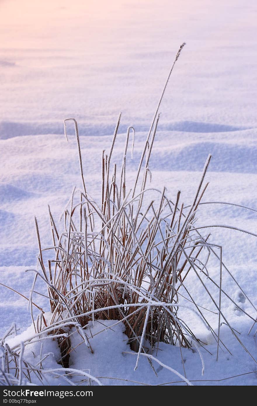 Warm winterday