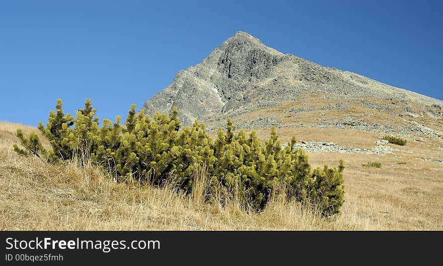 View on Krivan 2494 mnm - High Tatras