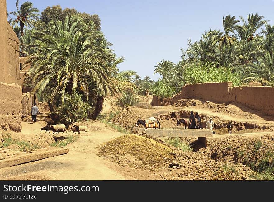 Moroccan rural life