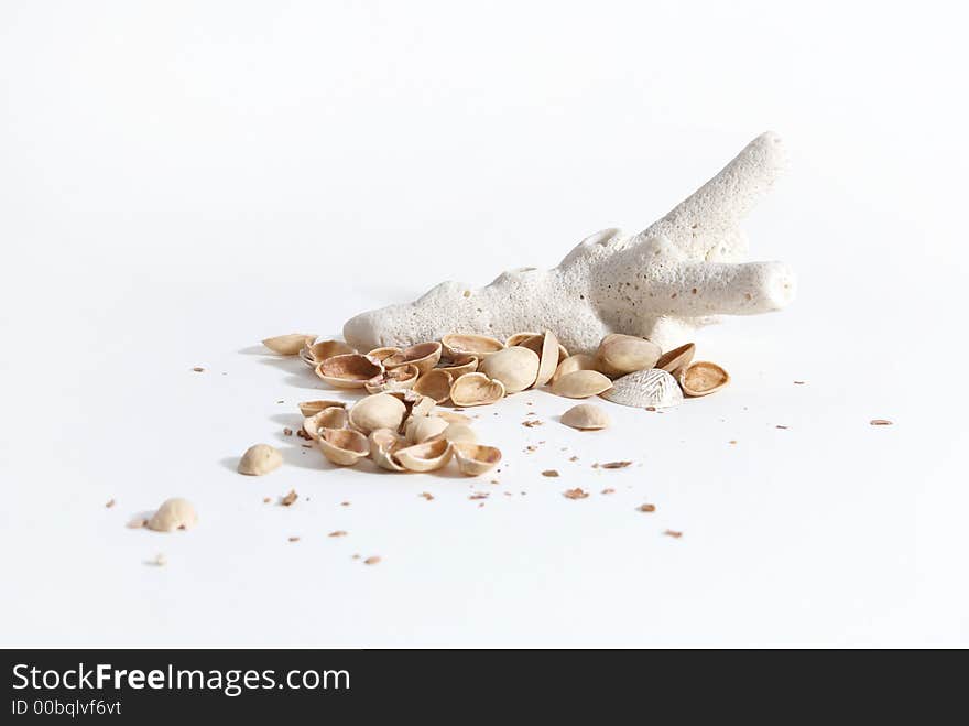 Coral and nuts isolated on white