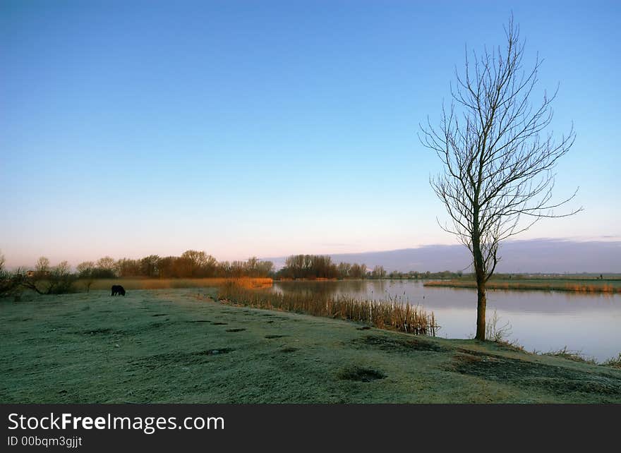 A lake early in the morning. A lake early in the morning