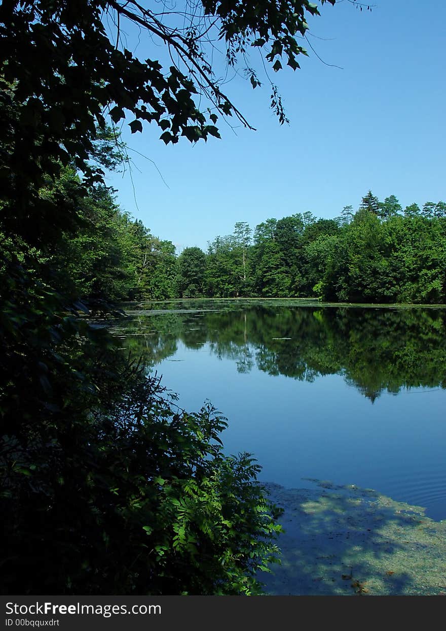 Nashawannuck Pond Three