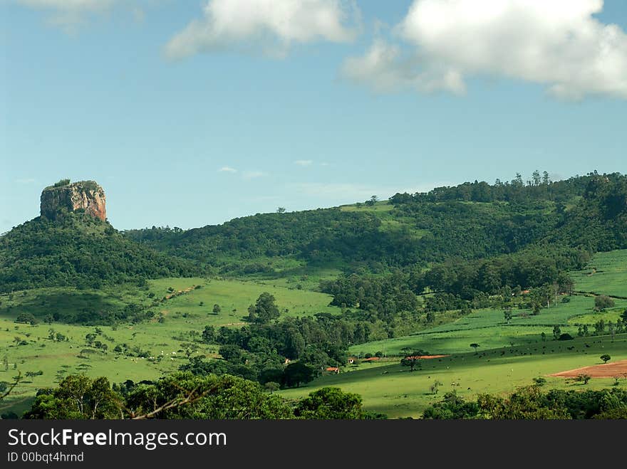 A mountain with trees and plantation