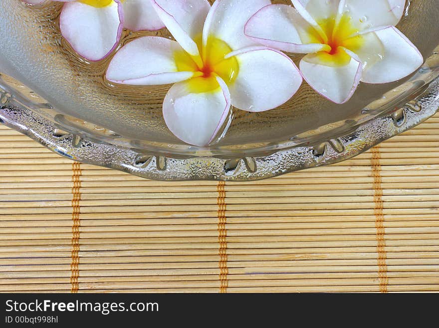 Frangipane flowers on a glass bowl