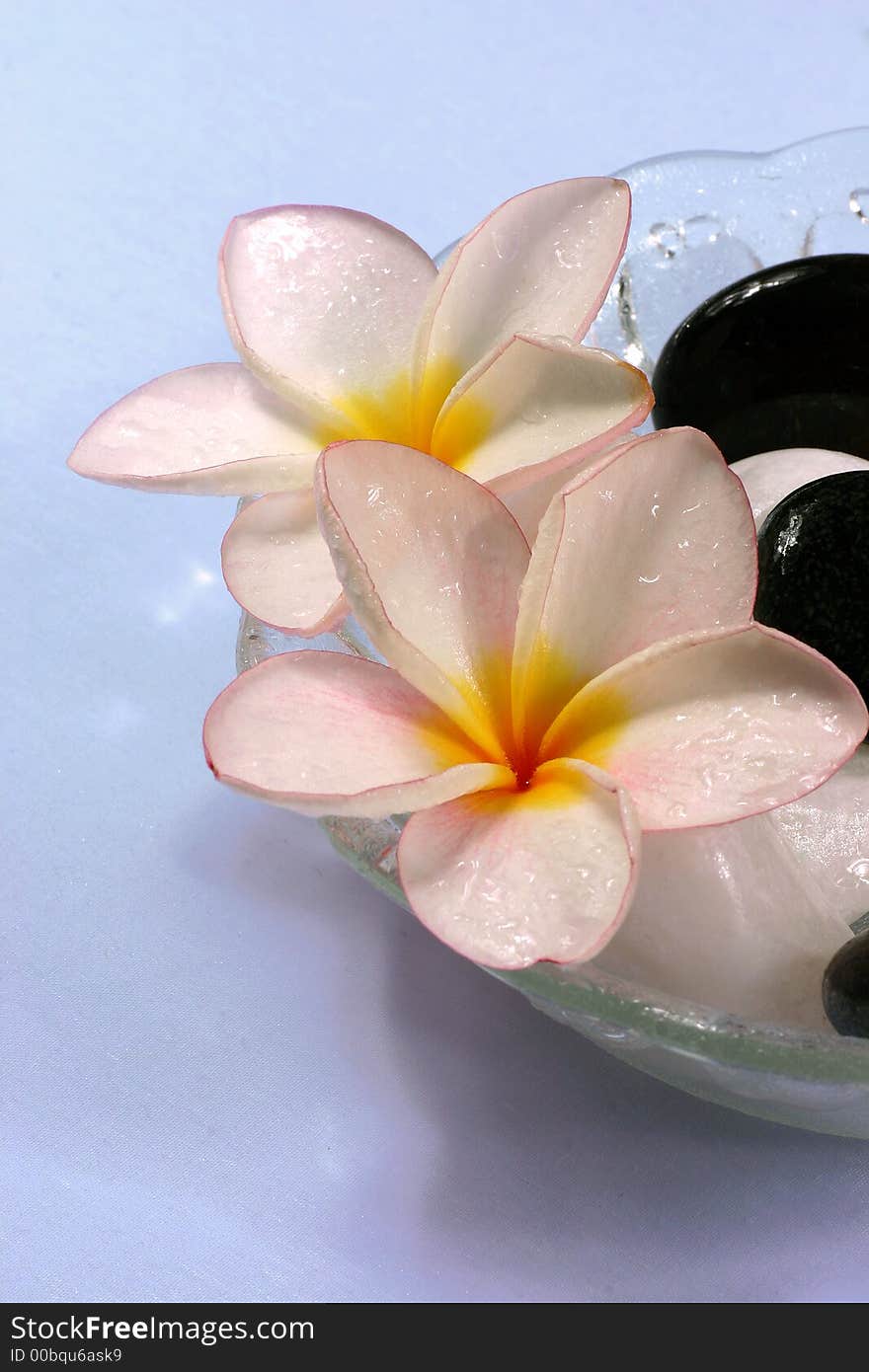 Frangipane flowers and pebbles in a glass bowl on the rattan background