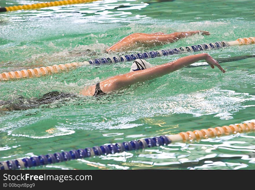 Swimmers competing in the freestyle swimming event