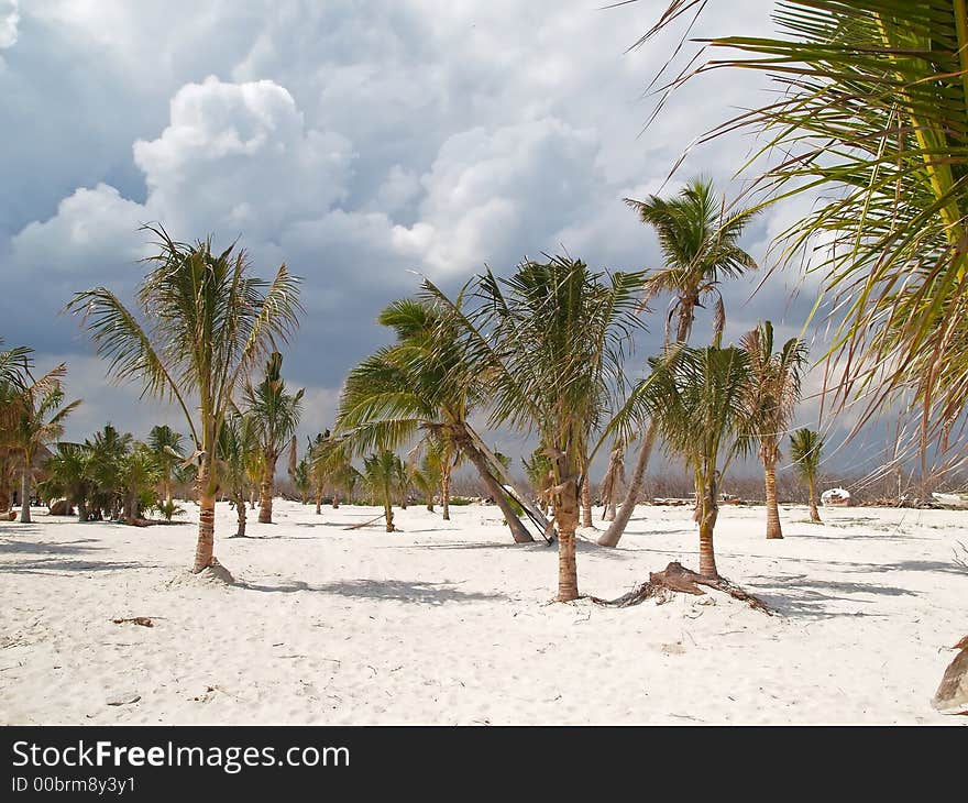 A Beach Resort In Cancun