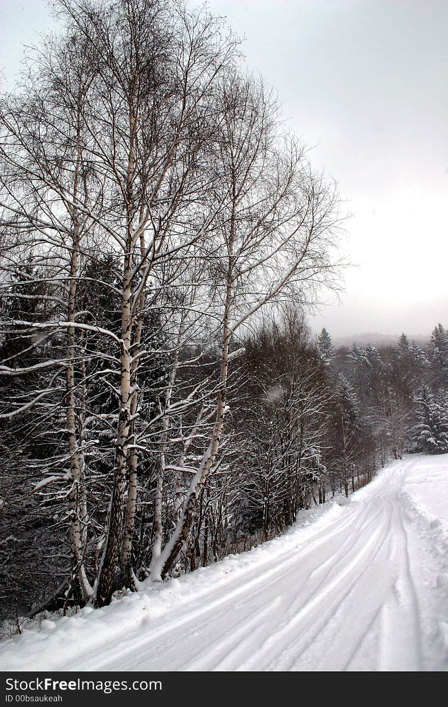 winter road