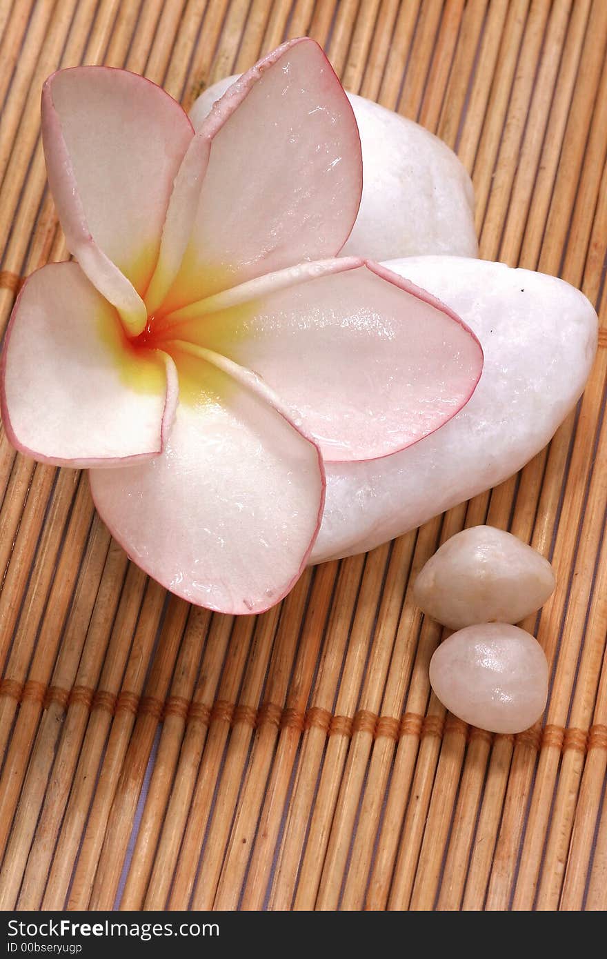 Detail of frangipane flower and pebbles on the rattan background