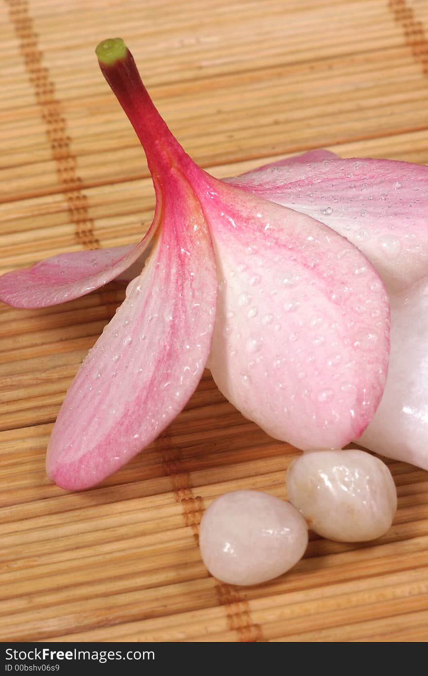 Frangipane Flower And Pebbles On The Rattan Background