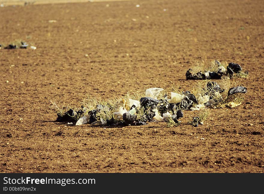 Plastic gags pushed by wind on a sowed field in Morocco. Plastic gags pushed by wind on a sowed field in Morocco