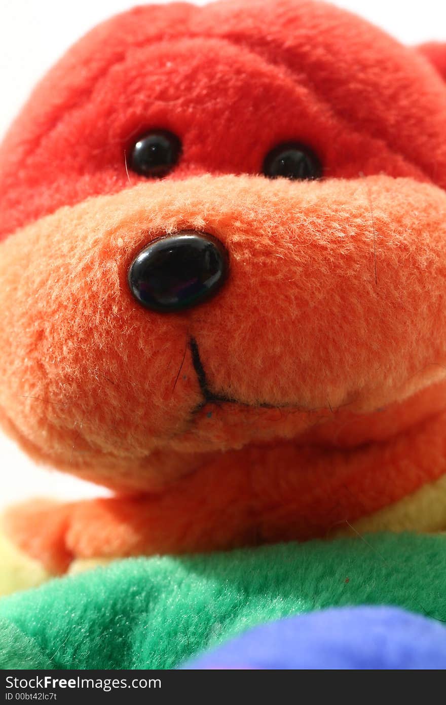 Close up shot of a rainbow teddy bear