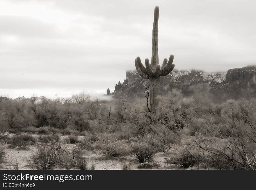 Rural desert landscape, the Superstition Mountains in the background with a dusting of snow and ice. Rural desert landscape, the Superstition Mountains in the background with a dusting of snow and ice.