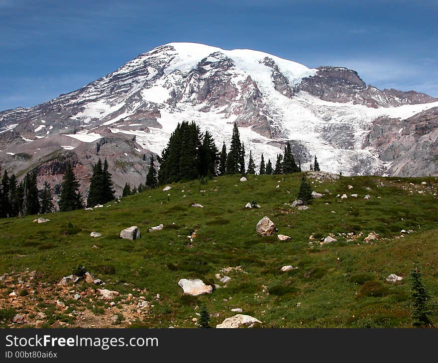 Mt. Rainier