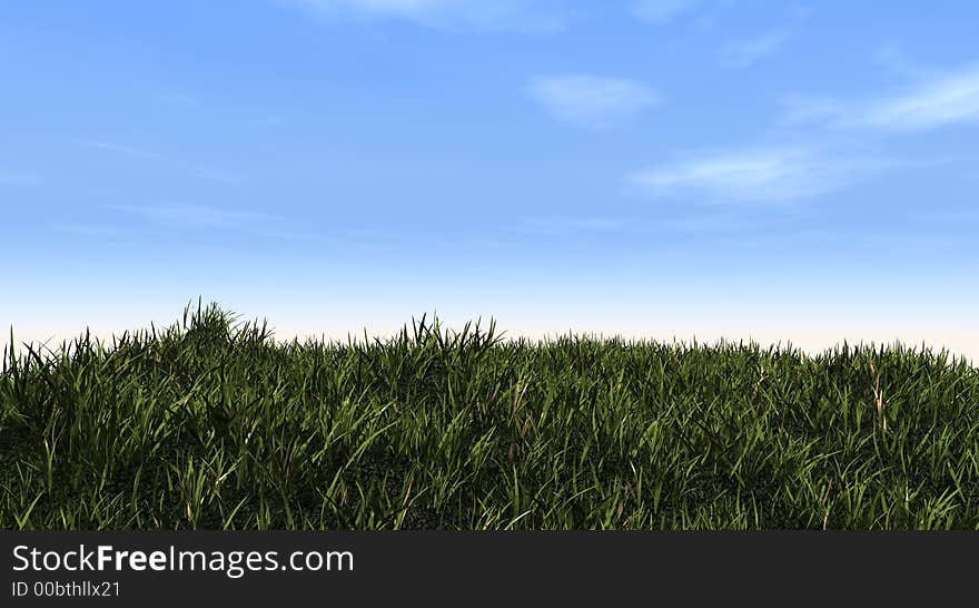 Green grass and blue sky - 3d scene. Green grass and blue sky - 3d scene.