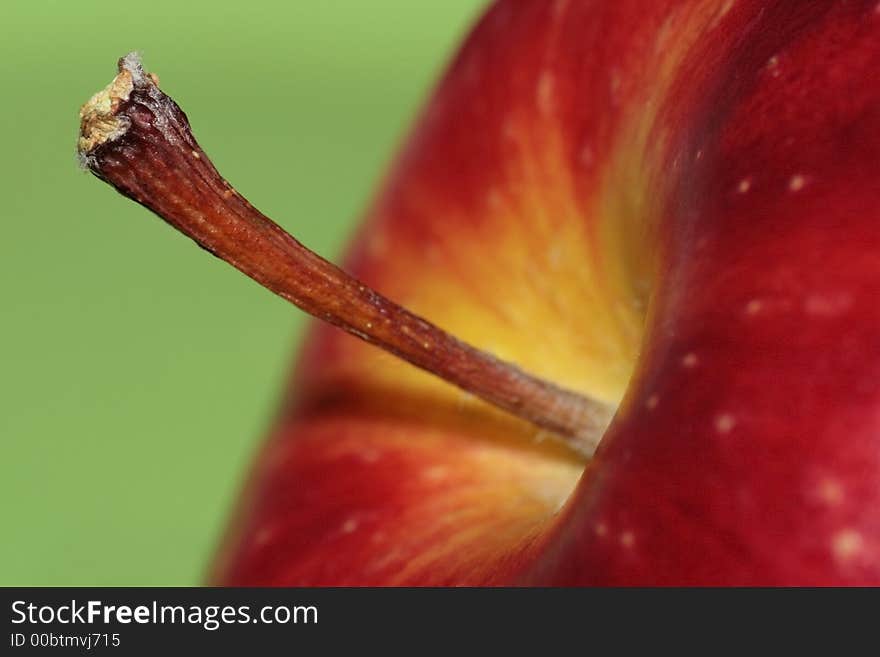 Closeup of Apple. Focus on Tail.