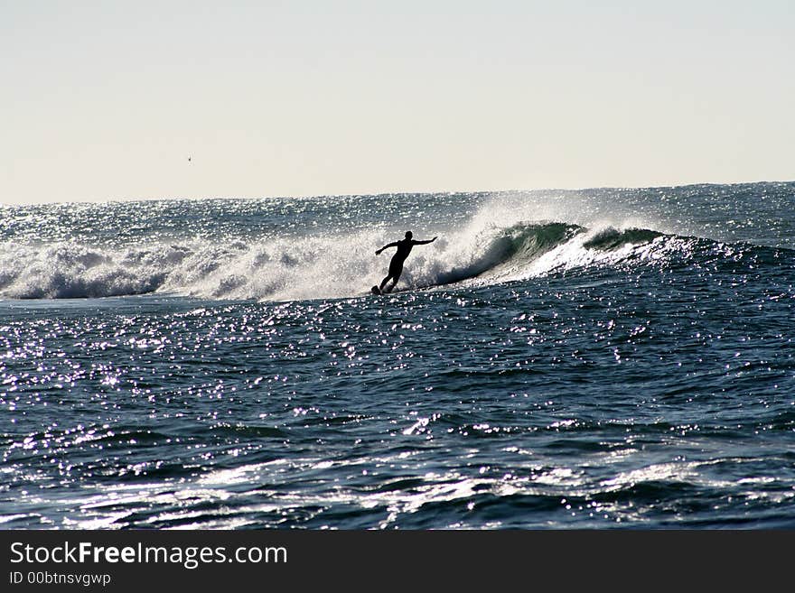 Surfer