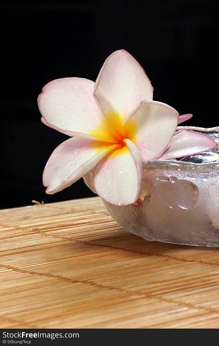 Detail of frangipane flower and pebbles in a glass bowl on the rattan background. Detail of frangipane flower and pebbles in a glass bowl on the rattan background