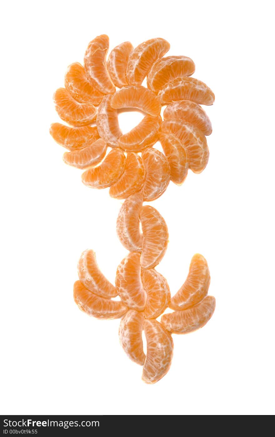 Isolated mandarine flower over white background