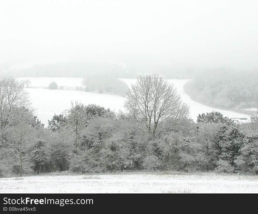 Snow landscape