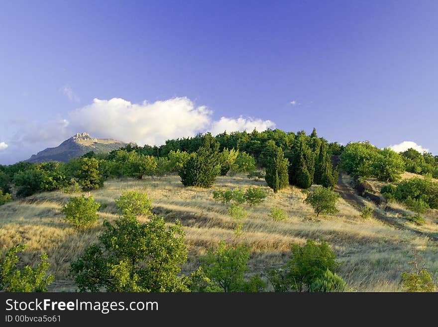 Morning At Mountains Of Crimea